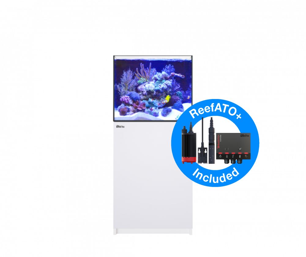 Red Sea Reefer 200 G2+ Meerwasseraquarium Komplettset